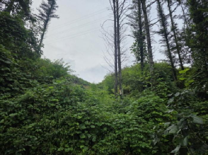 본건 35 전경