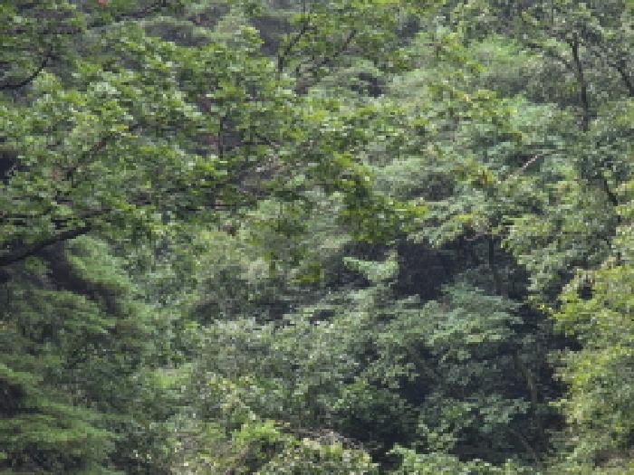 본건 36 전경