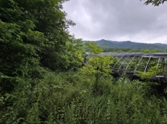 본건 1 전경