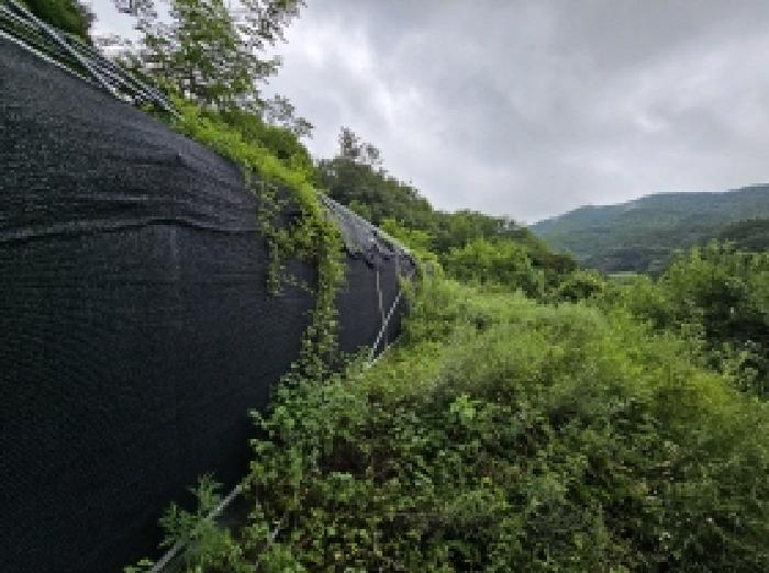 본건 1 전경