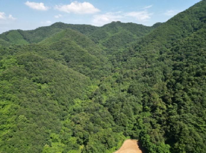 본건 28, 29, 30 전경