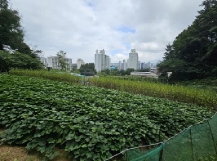 본건 23 전경