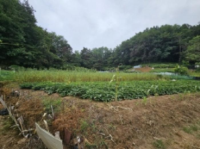 본건 23 전경