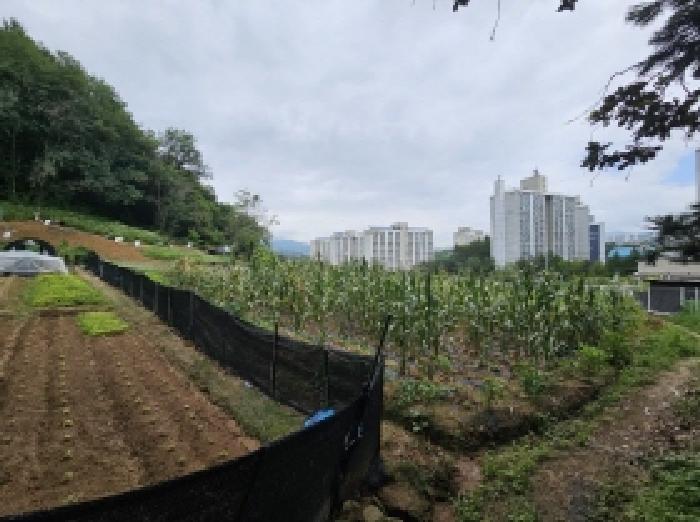 본건 23 전경