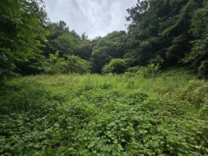 본건 22 전경
