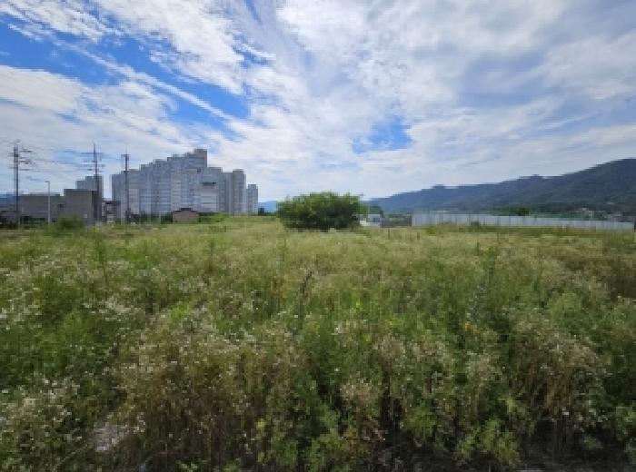 본 건 전경