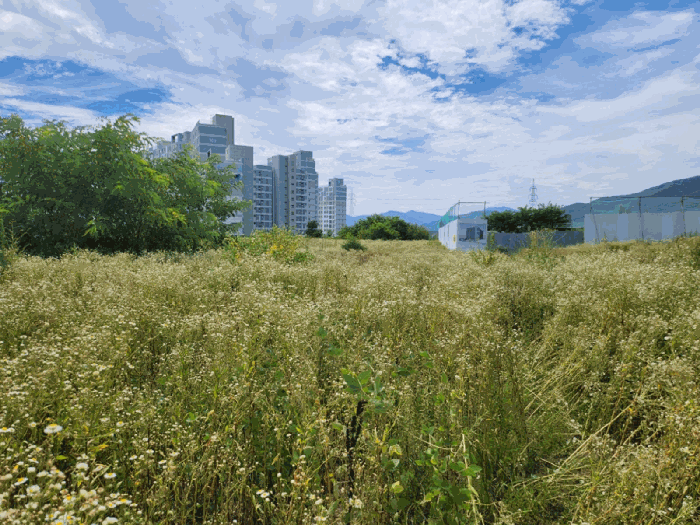 본건 전경