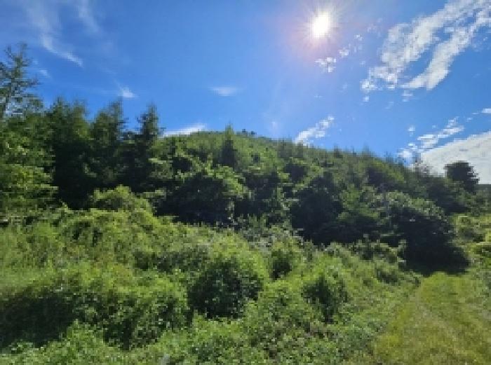 목록 1