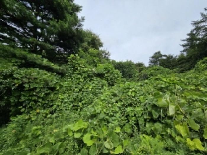목록 5