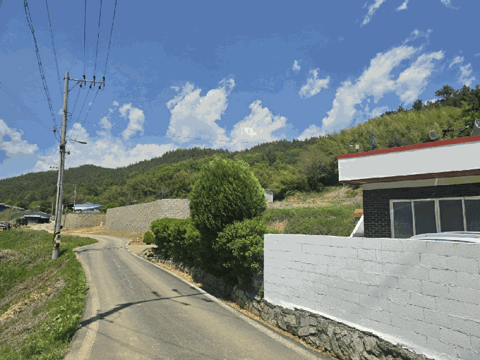 본건 사진(일련