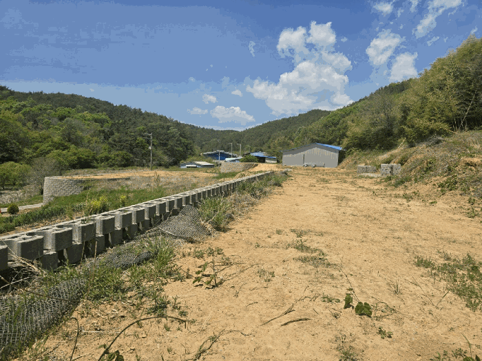 본건 사진(일련