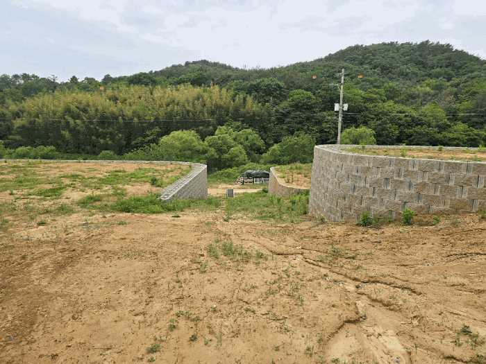 본건 사진(일련