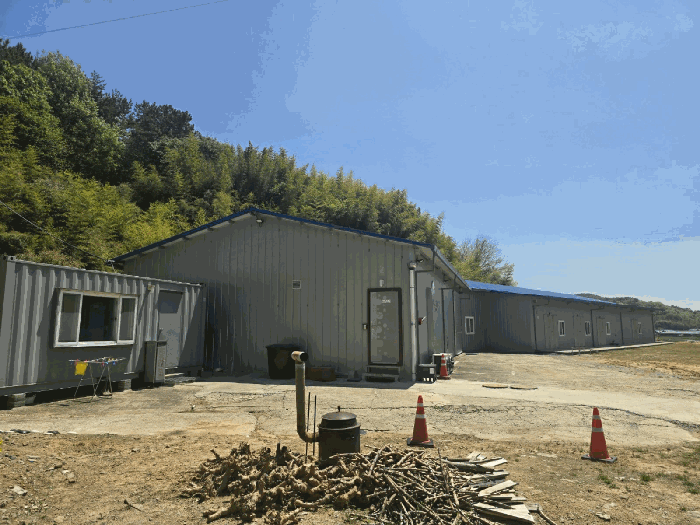 본건 사진(일련