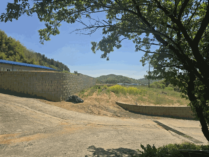 본건 사진(일련