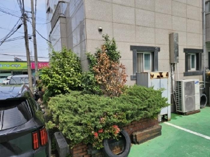 물건번호1 수목