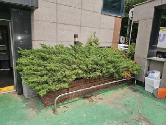 물건번호1 수목