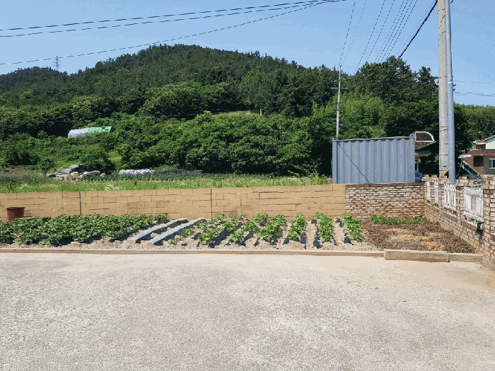 
토지 일련번호(4)