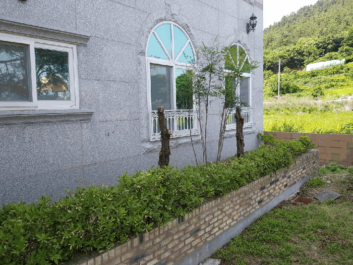 
일련번호(2) 지상 수목