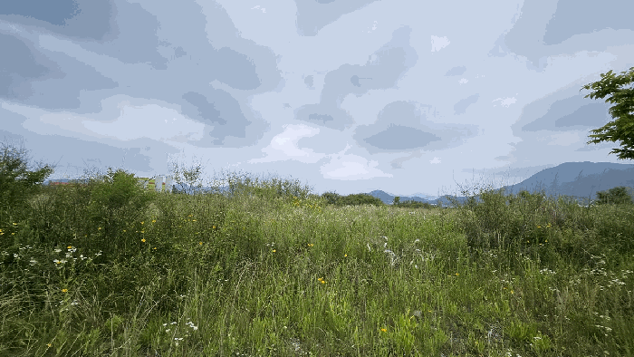 본건 기호(2) 전경