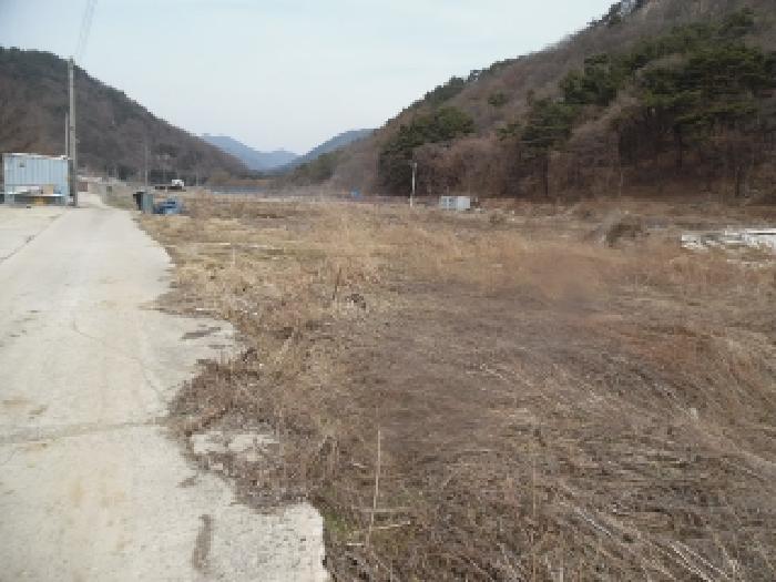토지(답) 전경(1)