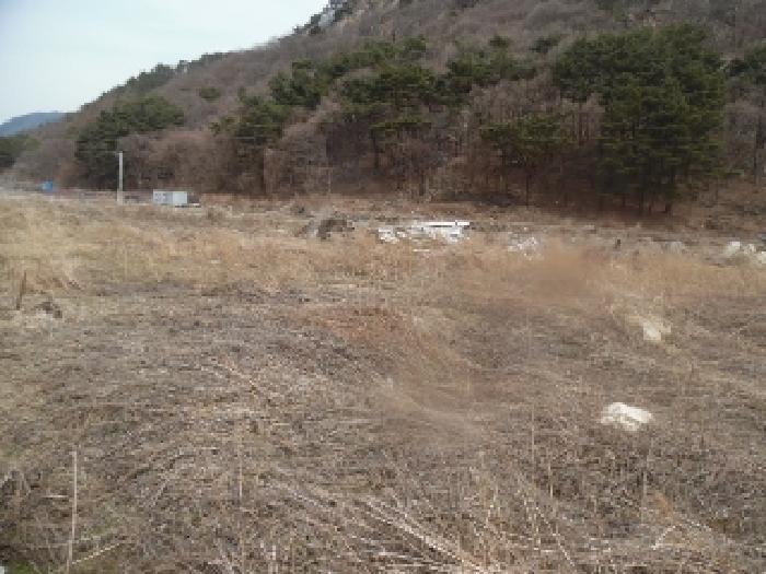토지(답) 전경(2)