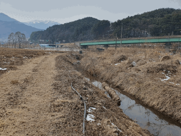 【 본건 내부 구거부분 전경 】