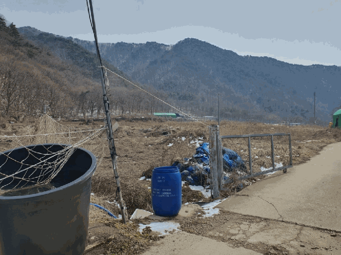 감정서 표지사진