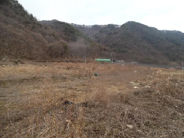토지(답) 전경(3)