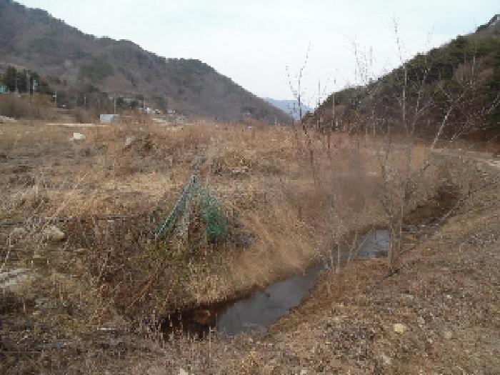 토지(답) 전경(5)