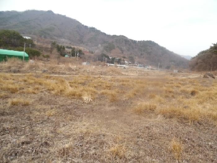 토지(답) 전경(8)