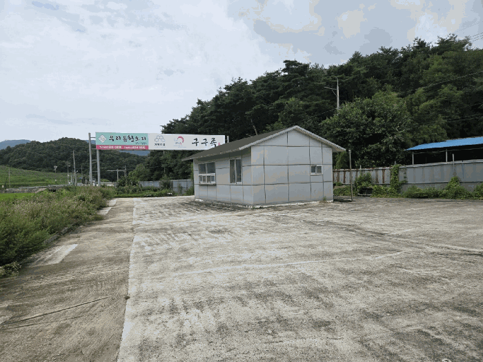 일련번호5-2)현황