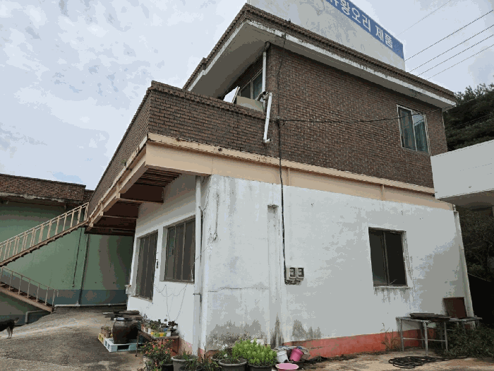 일련번호11) 현황