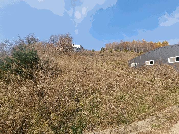 일련번호 2~4 전경