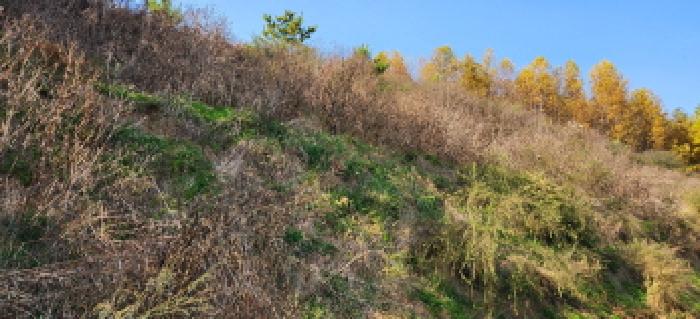 목록4 내지 목록6 부동산 전경1