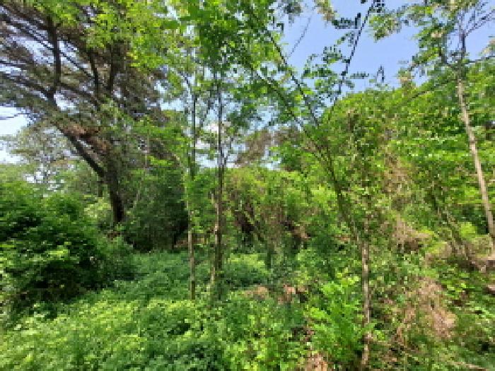 목록 3 남동쪽 경계부분