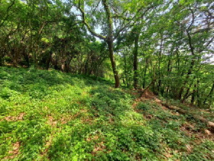 목록 3 중앙부분