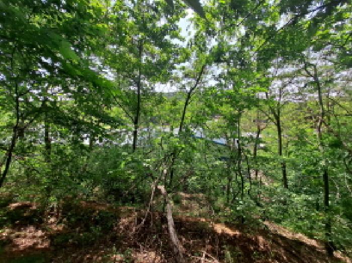 목록 3 서쪽부분