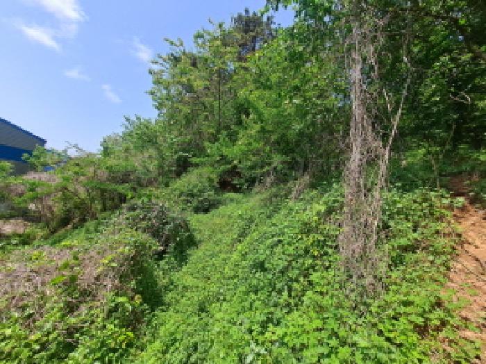 목록 3 서쪽 경계부분