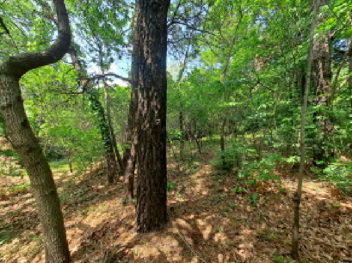 목록 3 남쪽부분