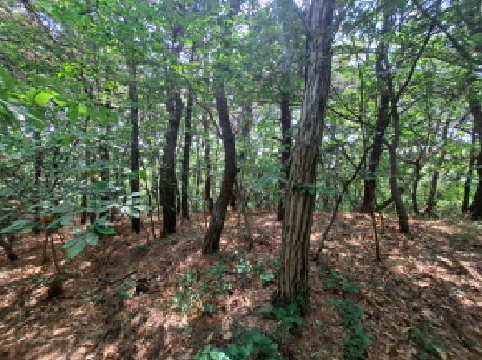 목록 3 동북쪽 경계부분