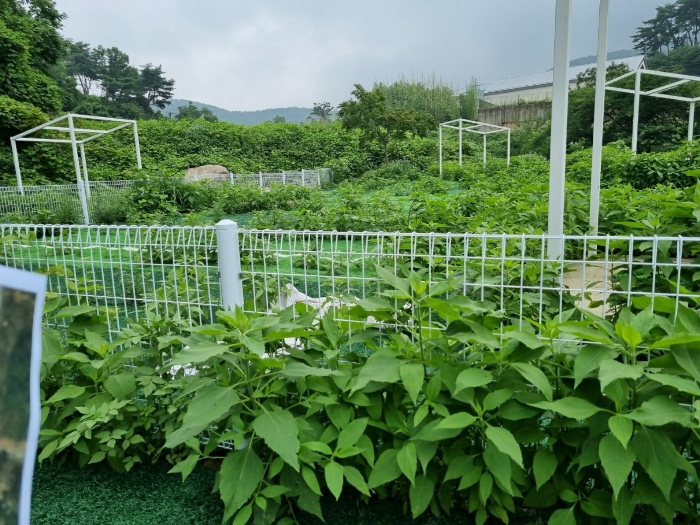 구조물(ㅁ) 및