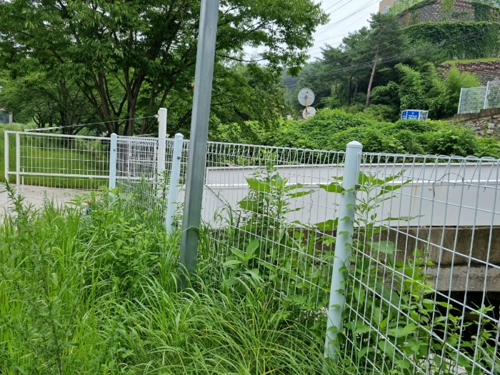 철제휀스(ㅂ)