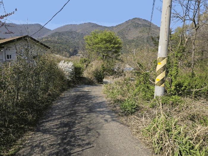 일련번호(4) 전경