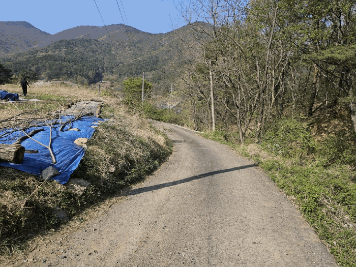 일련번호(5) 전경