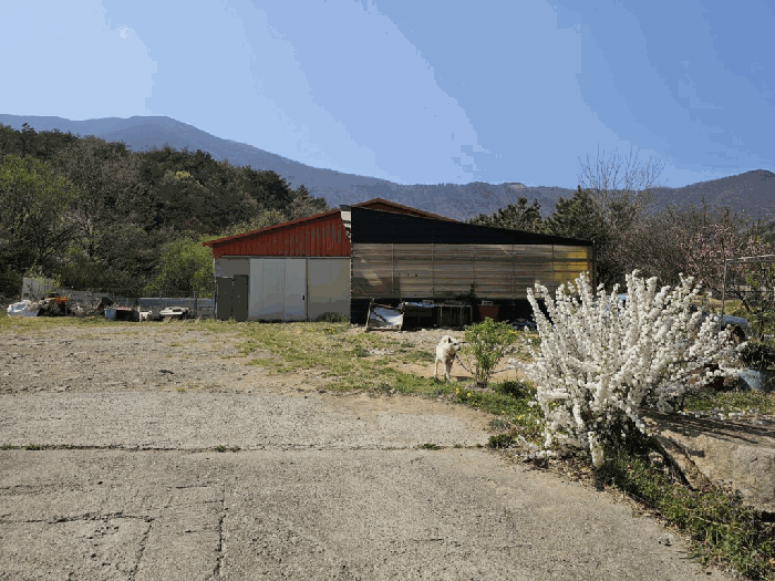 일련번호(1) 전경