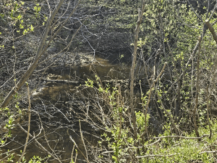 일련번호(1) 저수지부분