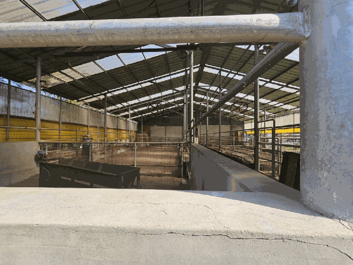 일련번호(2) 및 제시외 건물(ㄱ,ㄴ) 내부