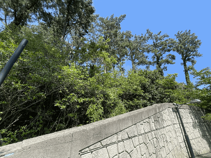 본건 전경
(촬영위치 : 본건 남서측)