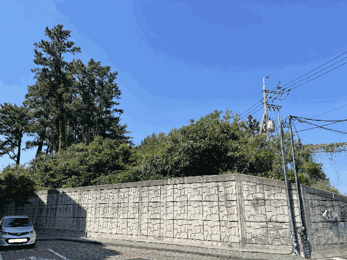 본건 전경
(촬영위치 : 본건 남측)
