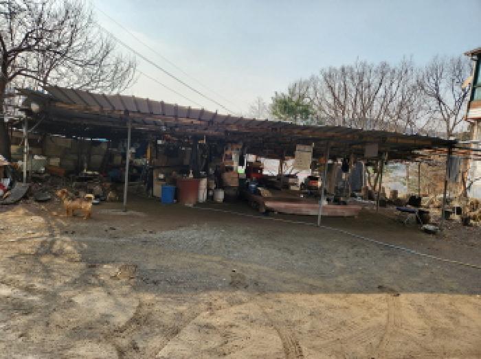제시외 6
-쇠파이프조 양철지붕 견사